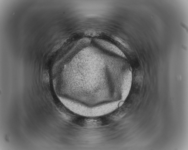 X0000096700315200803041326