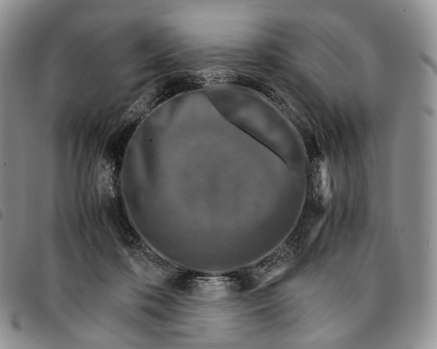 X0000096700316200803041326
