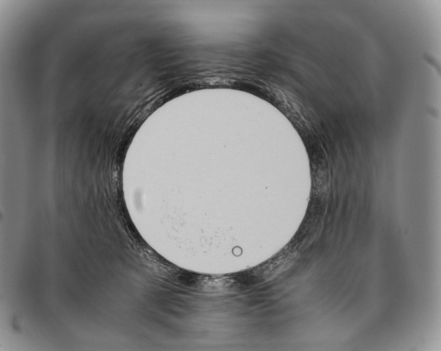 X0000096700321200803041326
