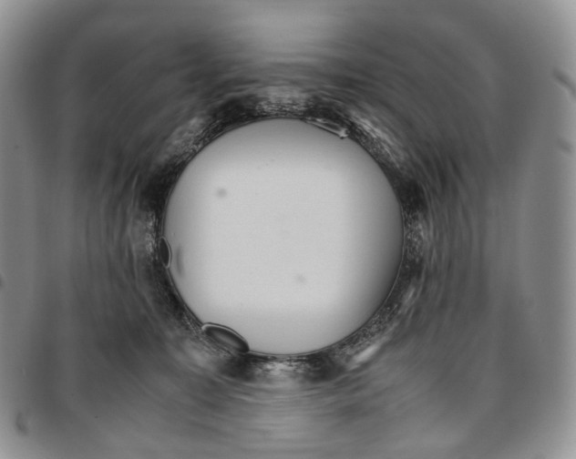 X0000096700323200803041326