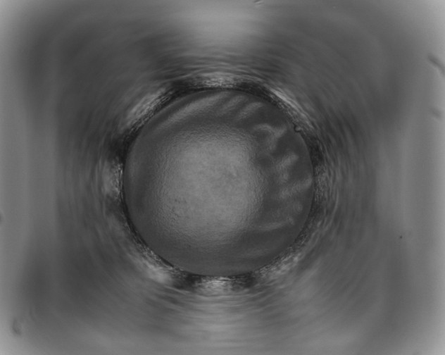 X0000096700325200803041326