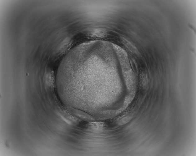 X0000096700328200803041326
