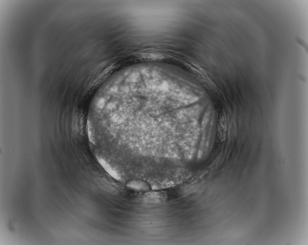 X0000096700330200803041326