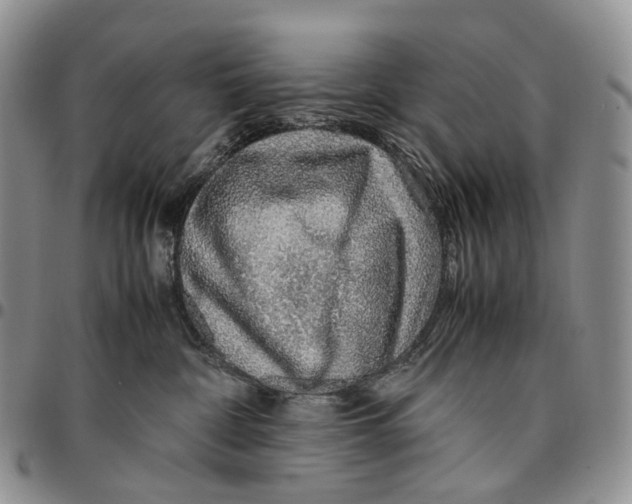 X0000096700332200803041326