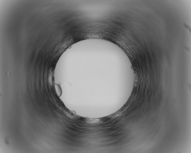 X0000096700334200803041326