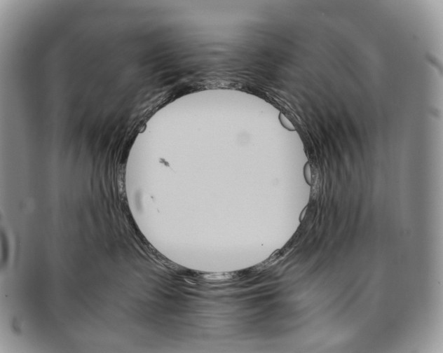 X0000096700335200803041326
