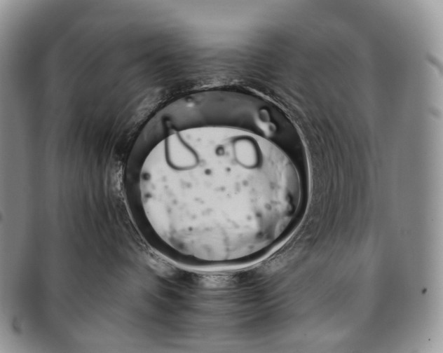 X0000096700336200803041326