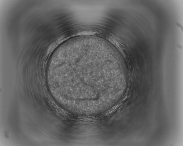 X0000096700337200803041325