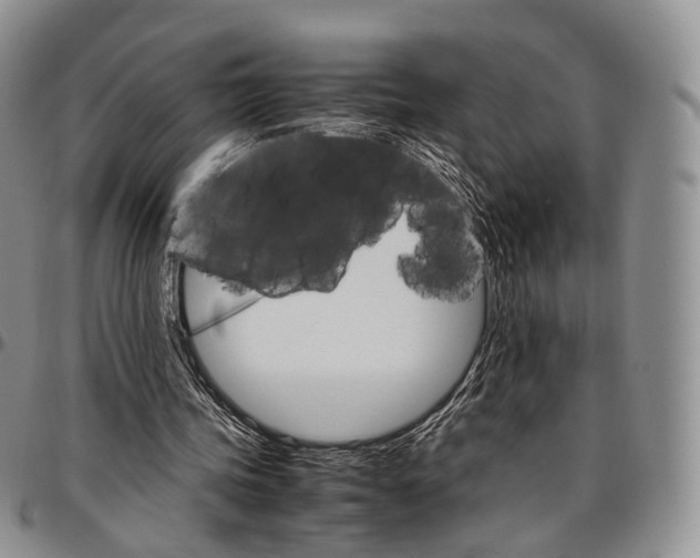 X0000096700339200803041325