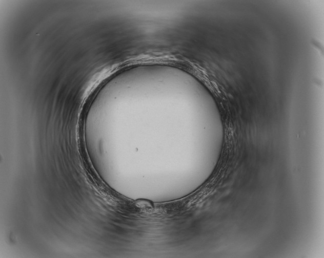X0000096700340200803041325