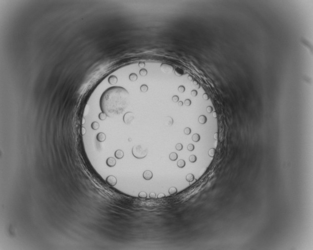 X0000096700341200803041325