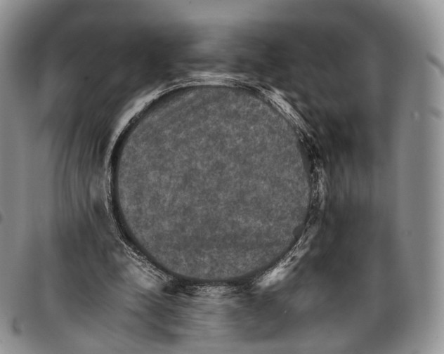 X0000096700342200803041325