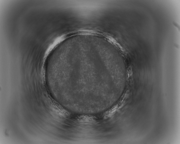 X0000096700343200803041325