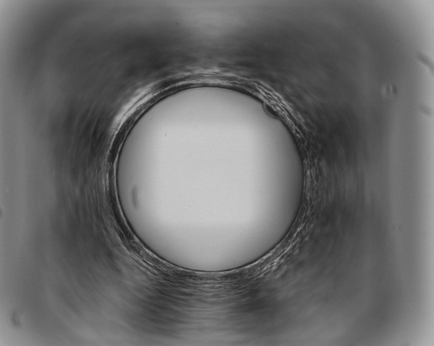 X0000096700344200803041325