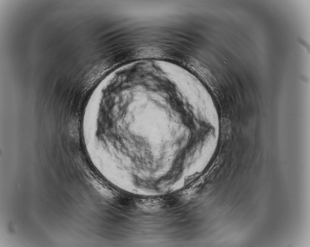 X0000096700345200803041325