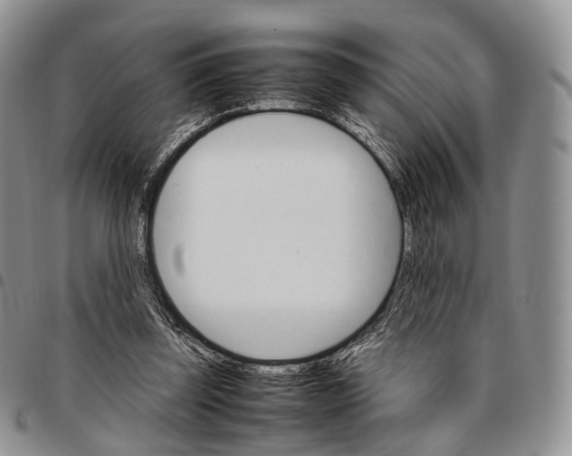 X0000096700347200803041325