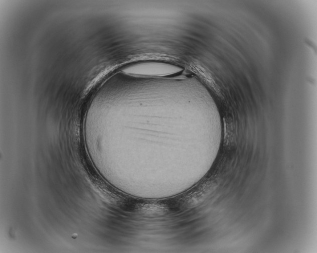 X0000096700348200803041325