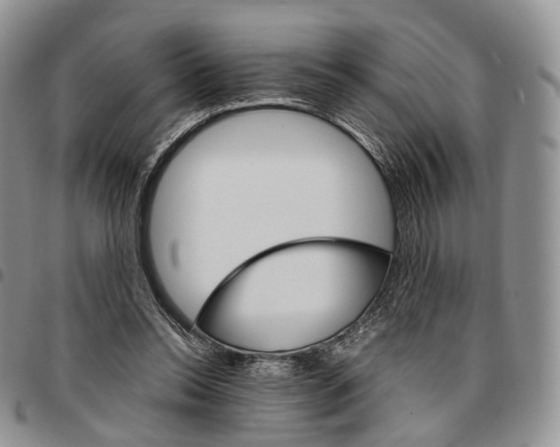 X0000096700350200803041325