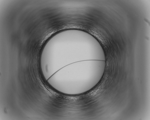 X0000096700352200803041325