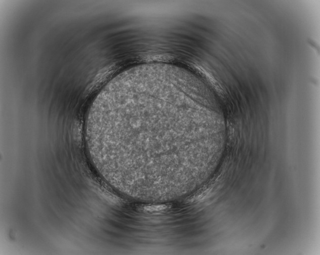 X0000096700357200803041326