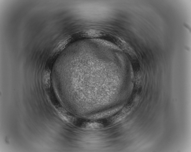 X0000096700360200803041326