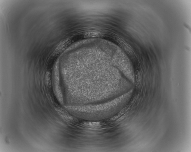 X0000096700361200803041326
