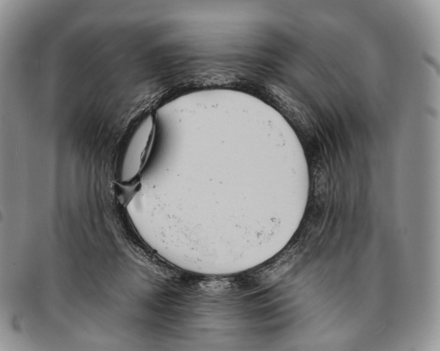 X0000096700362200803041326