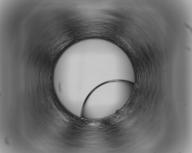 X0000096700364200803041326