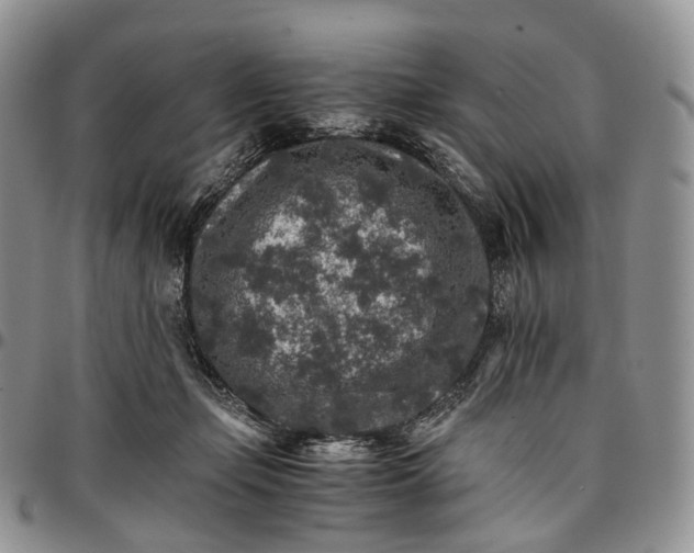 X0000096700365200803041326