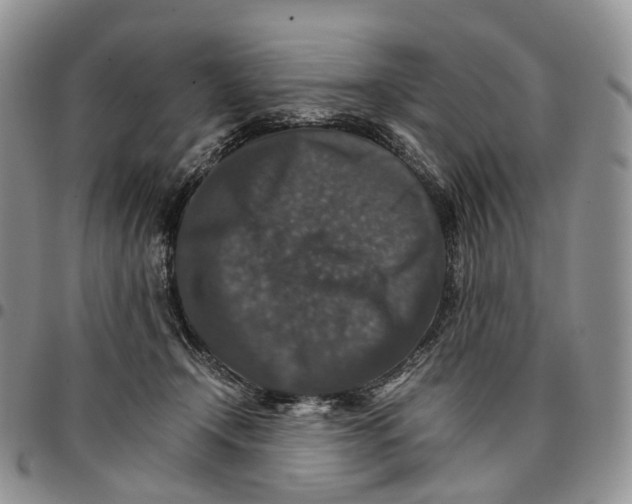 X0000096700366200803041326