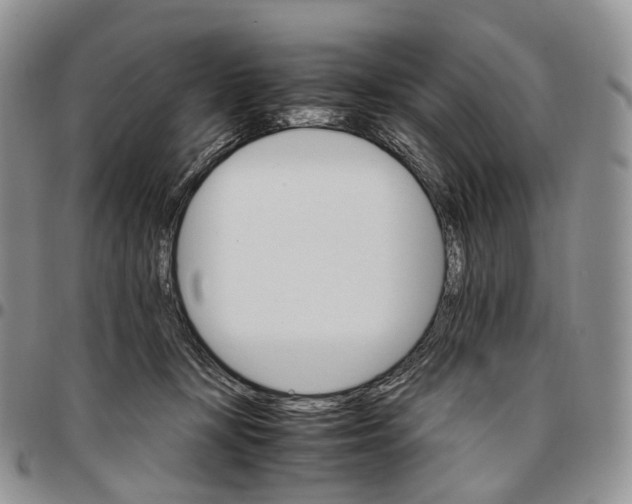 X0000096700367200803041326