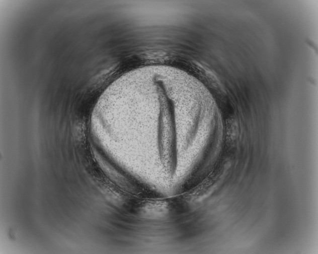 X0000096700369200803041326
