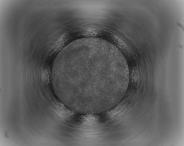 X0000096700370200803041326