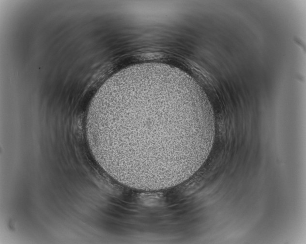 X0000096700373200803041326