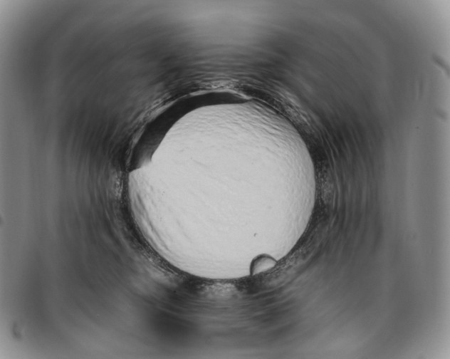 X0000096700374200803041326