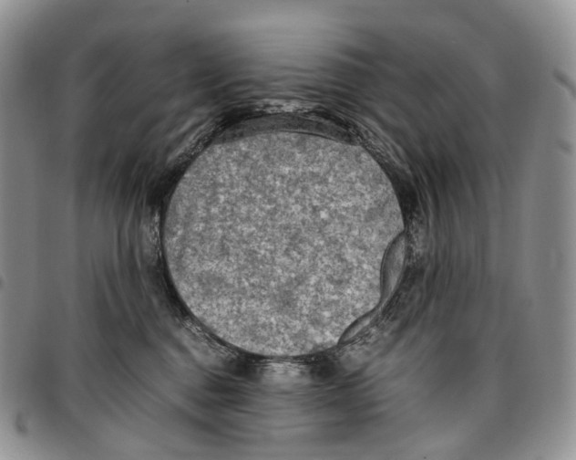 X0000096700376200803041326