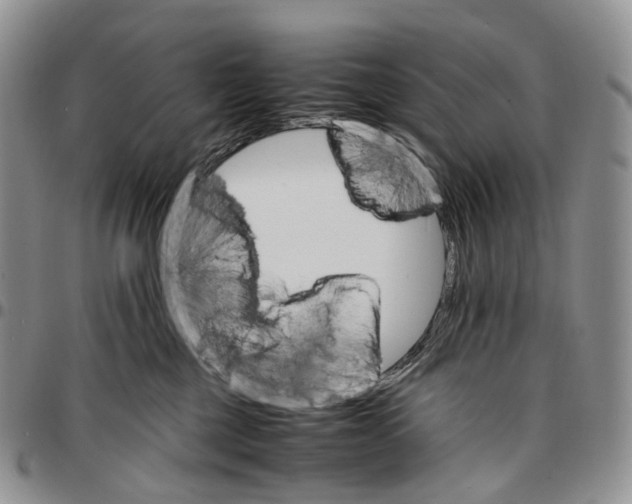 X0000096700377200803041326