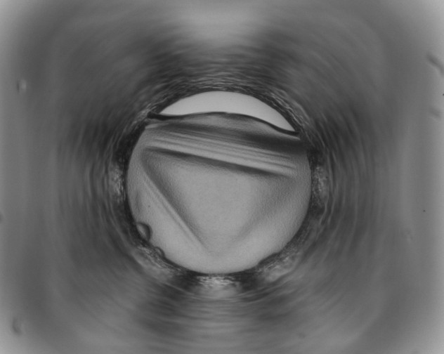 X0000096700380200803041326