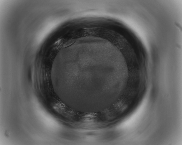 X0000096700382200803041326
