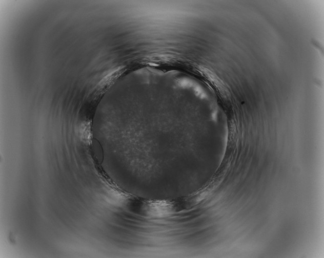 X0000096700383200803041326