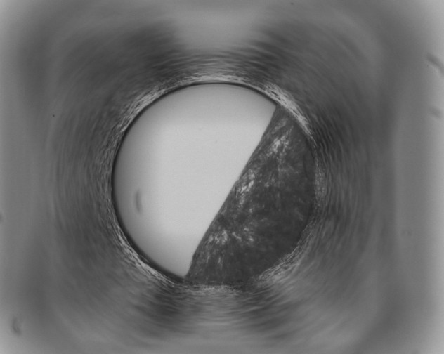 X0000096700385200803041325