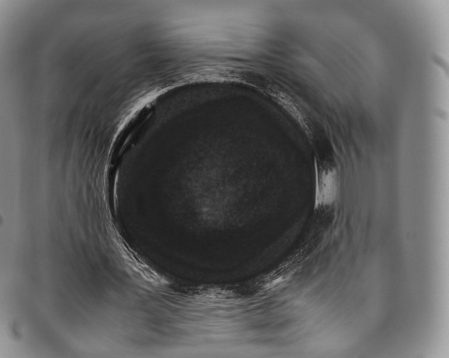 X0000096700387200803041325