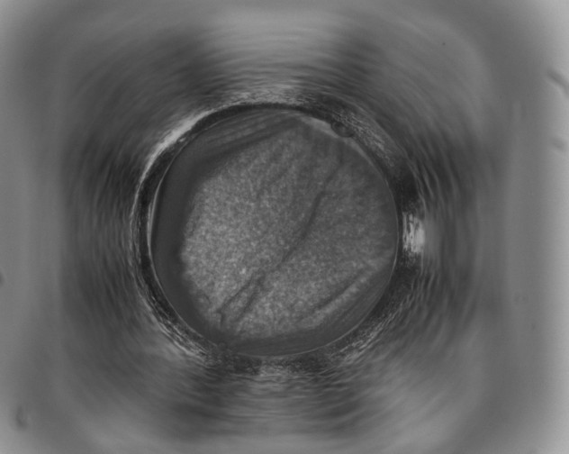 X0000096700388200803041325