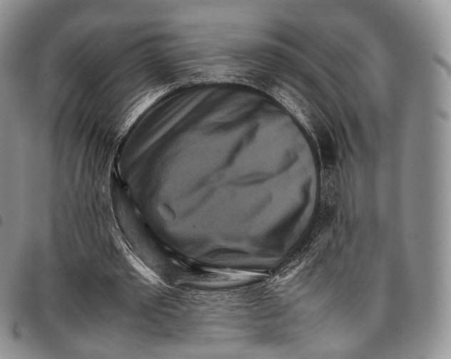 X0000096700389200803041325