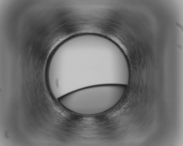 X0000096700391200803041325