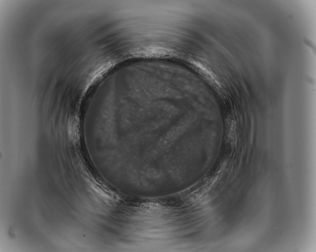 X0000096700392200803041325