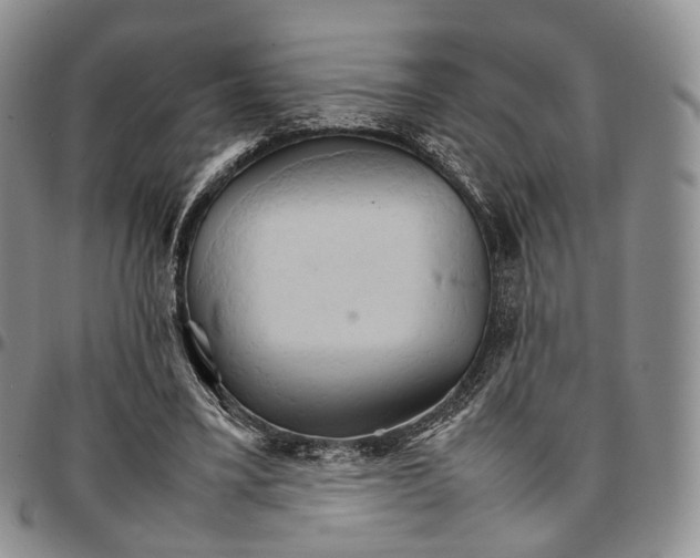 X0000096700395200803041325
