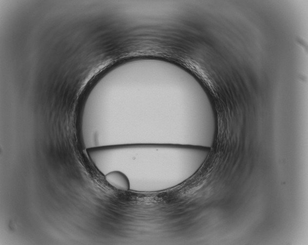 X0000096700396200803041325