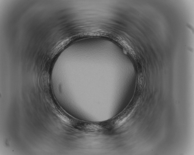 X0000096700397200803041325