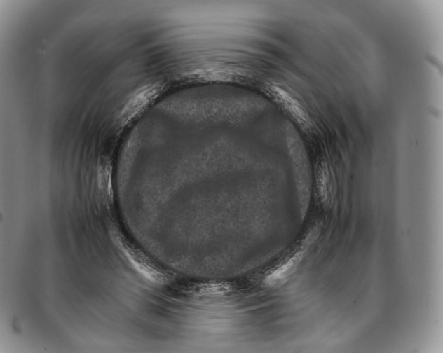 X0000096700398200803041325